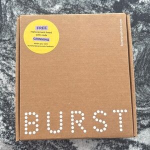 Burst electric brush with charger